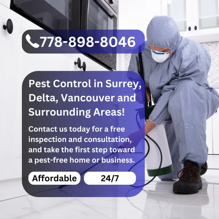 imgi_5_Blue_and_Orange_Modern_Pest_Control_Service_Instagram_Post-2