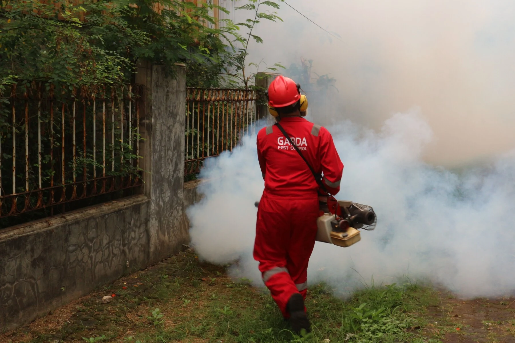 Professional pest-control treatment