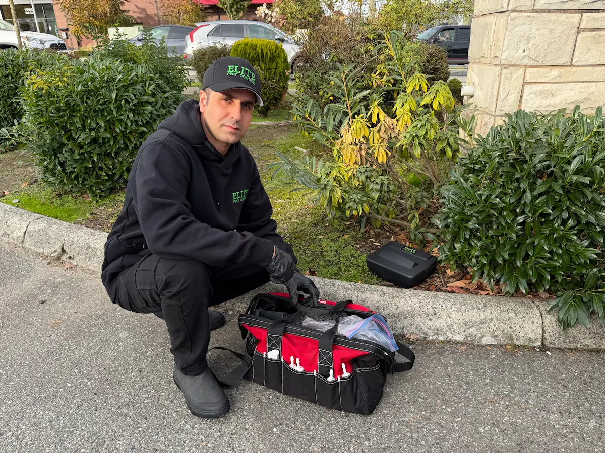 Elite Pest Control technician with an Elite rodent bait station